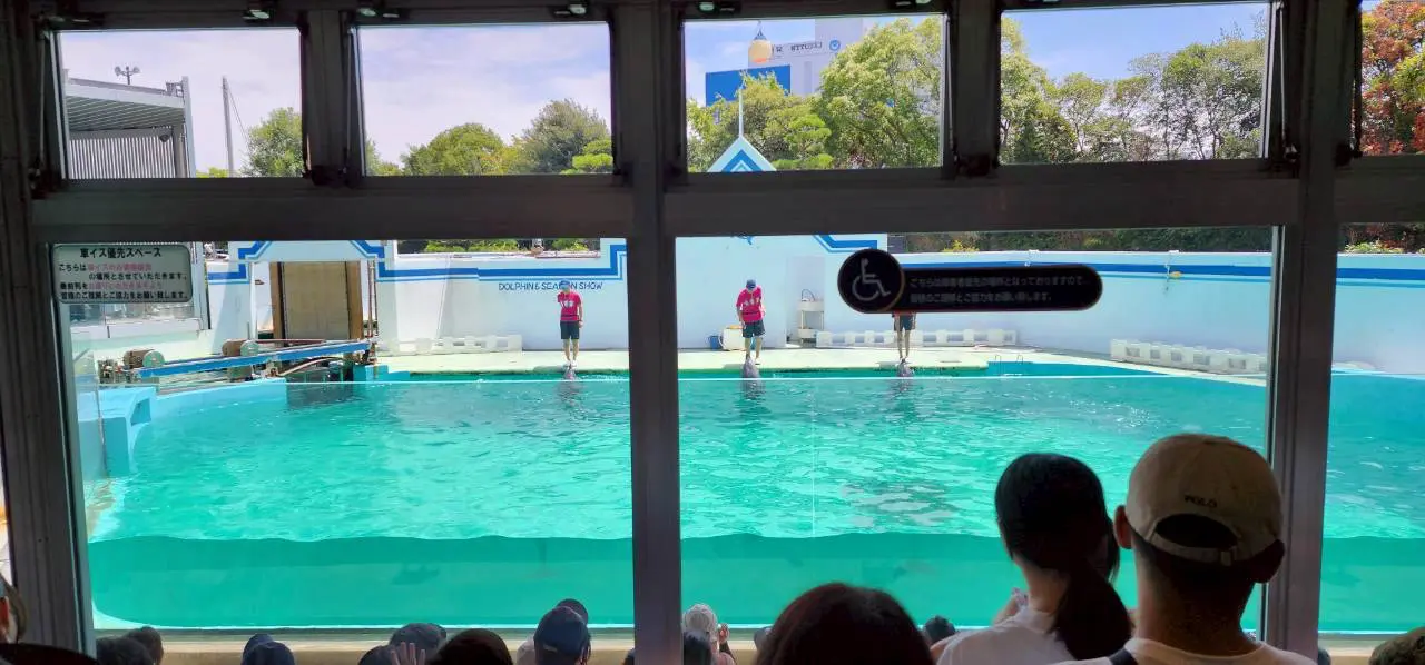 しながわ水族館のイルカショー